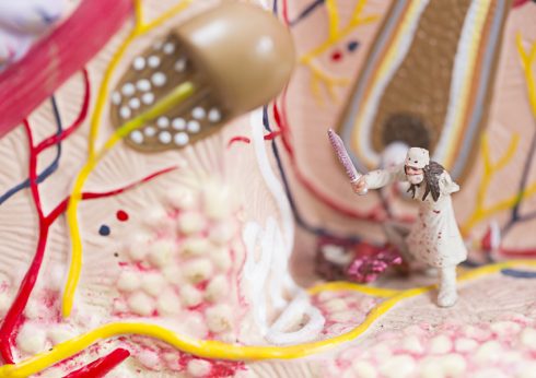 pracownia i dom Marty Antoniak