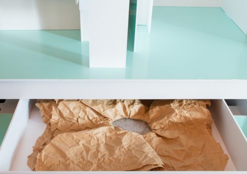 pracownia Janusza Janczy