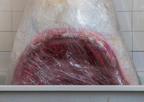 pracownia Tomka Kręcickiego