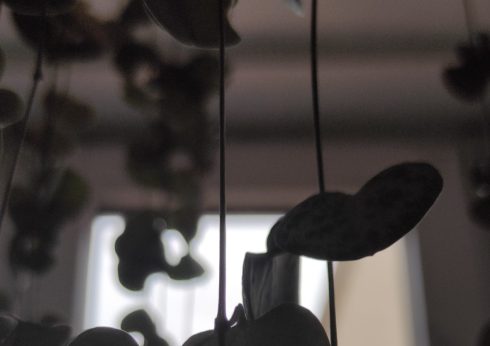 pracownia Leny Achtelik