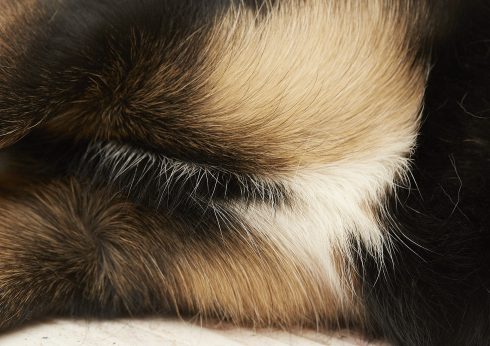 pracownia Moniki Chlebek